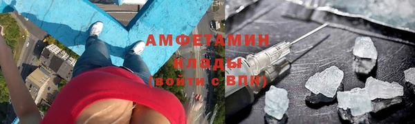 прущие грибы Абаза