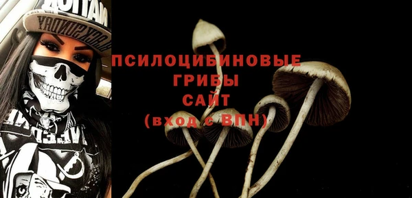 дживик Сафоново