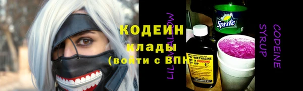 прущие грибы Абаза