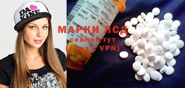 прущие грибы Абаза
