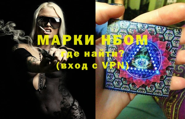 прущие грибы Абаза