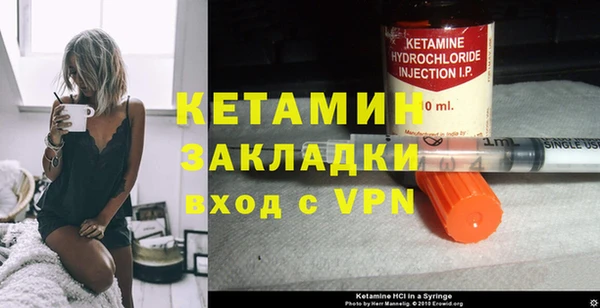 прущие грибы Абаза