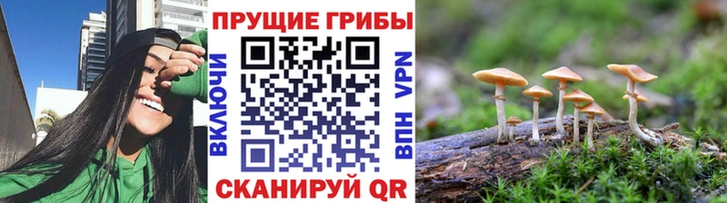 Галлюциногенные грибы MAGIC MUSHROOMS Дятьково
