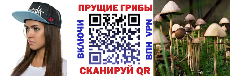 Галлюциногенные грибы мицелий  Дятьково 